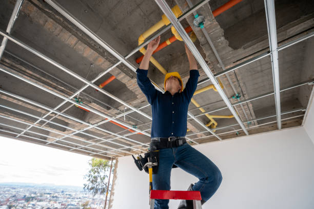 Best Residential Plumbing Services  in Denver, IA