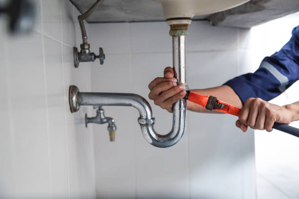 Best Plumbing Services Near Me  in Denver, IA